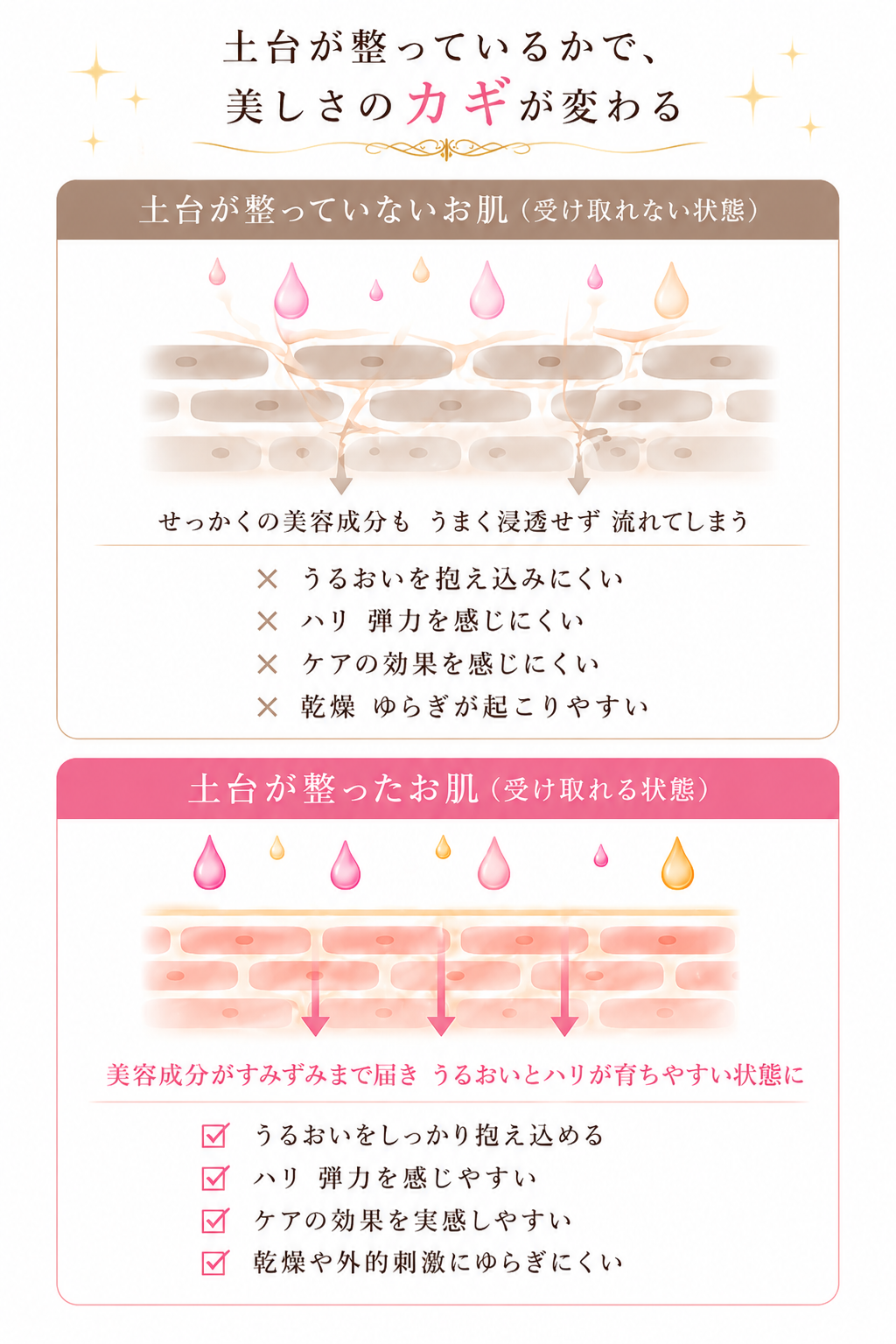 土台が整っているかで、美しさのカギが変わる。土台比較インフォグラフィック